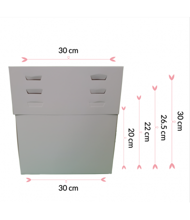 Pastkolor Caja para Tartas, con 4 Alturas Ajustable 30X30cm.