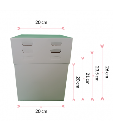 Pastkolor Caja para Tartas, con 4 Alturas Ajustable 20x20cm.