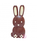 ScrapCooking Molde para Chocolate, Conejo 3D